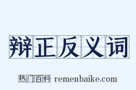 辩正反义词是什么意思的图片